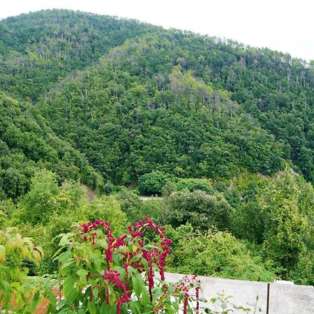 Chez Il Pino Vernazza Vista Mare エクステリア 写真