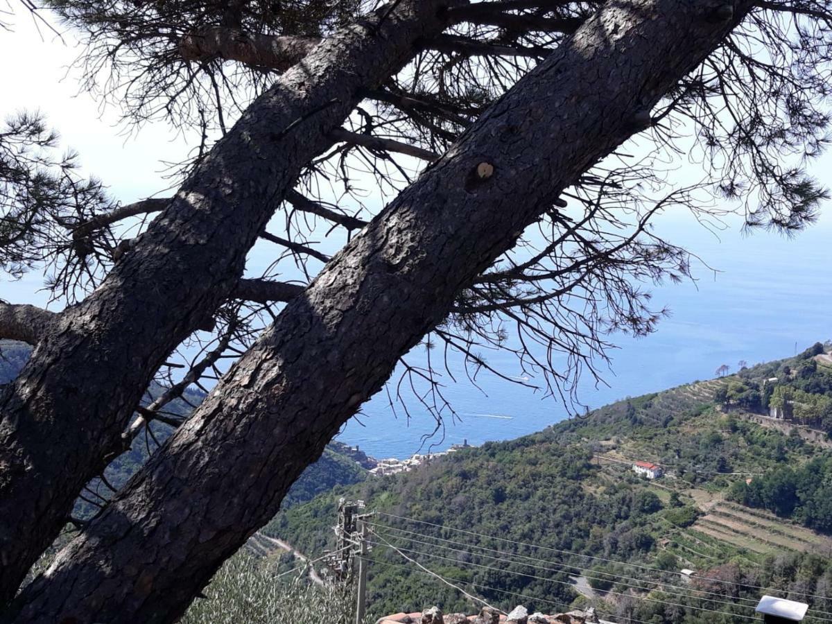 Chez Il Pino Vernazza Vista Mare エクステリア 写真