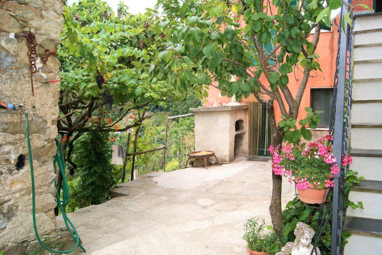 Chez Il Pino Vernazza Vista Mare エクステリア 写真